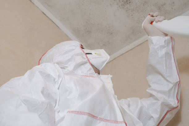 Best Emergency Mold Removal  in Detroit, MI